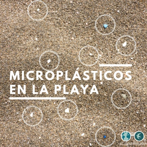 DÍA INTERNACIONALDEL MEDIO AMBIENTE